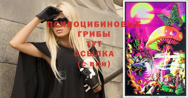 Альфа ПВП Ельня