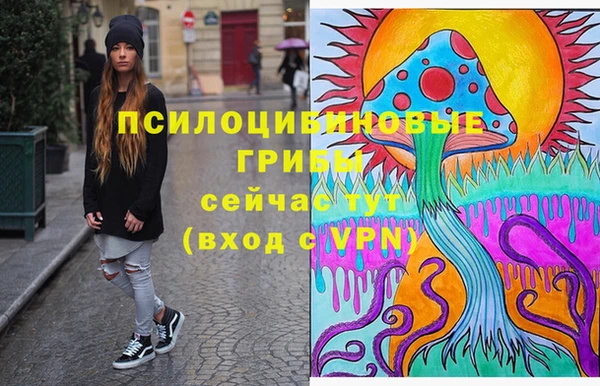 Альфа ПВП Ельня