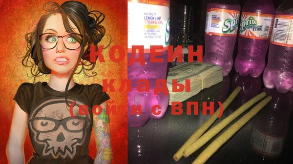 хмурый Елизово