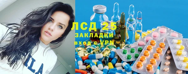 хмурый Елизово