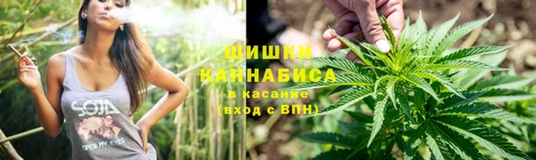 хмурый Елизово